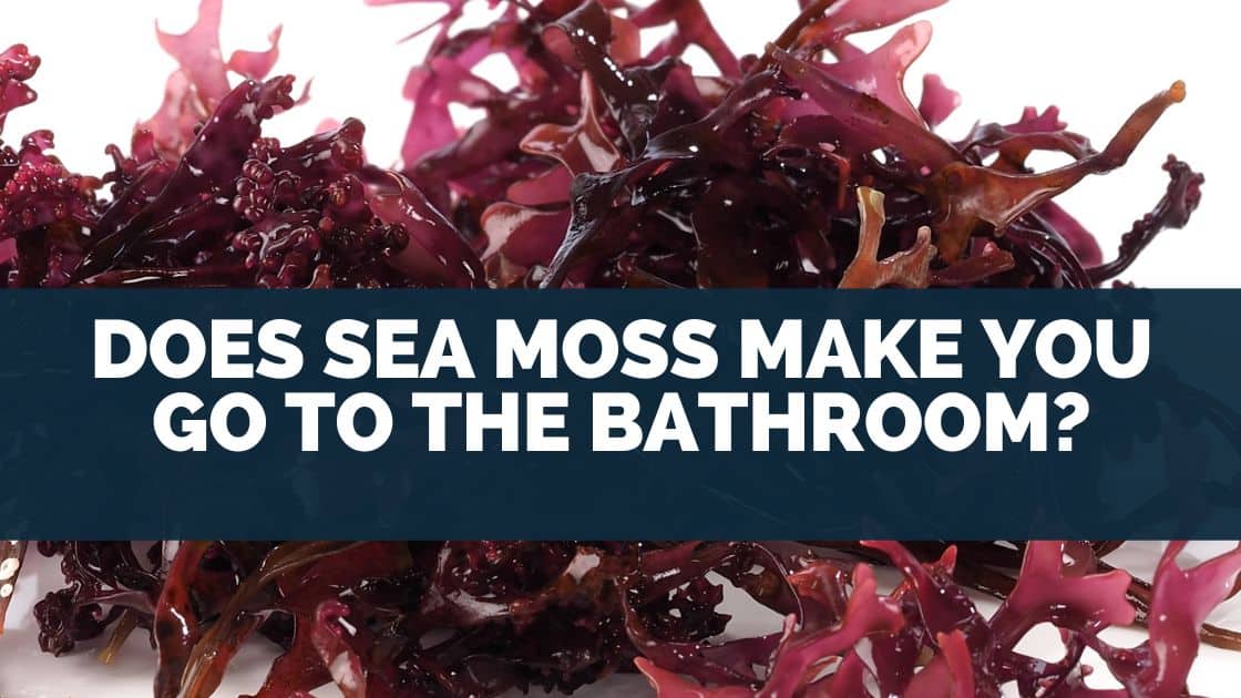 Does Sea Moss Make You Go To The Bathroom?