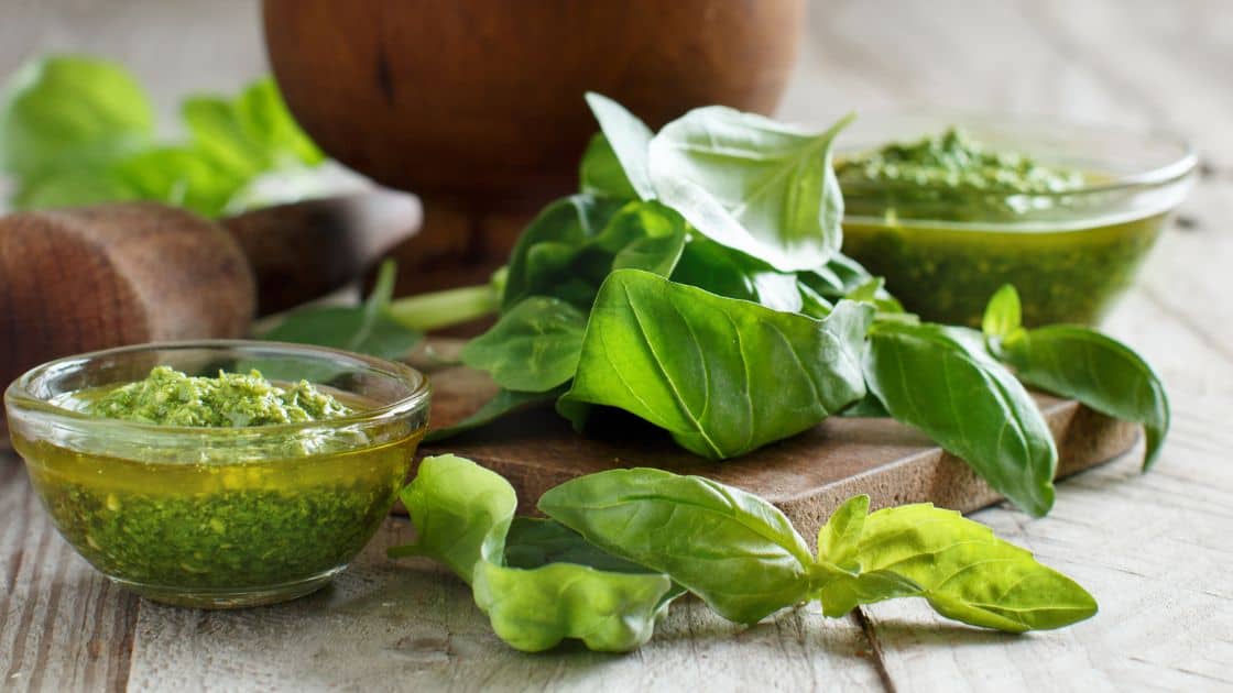 Can You Eat Basil With Brown Spots?