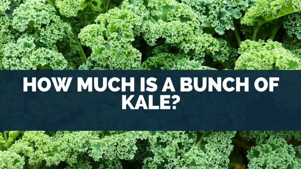 How Much Is A Bunch Of Kale?