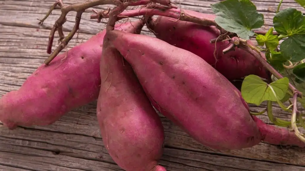 Is It OK To Eat Sweet Potatoes With Holes In Them?