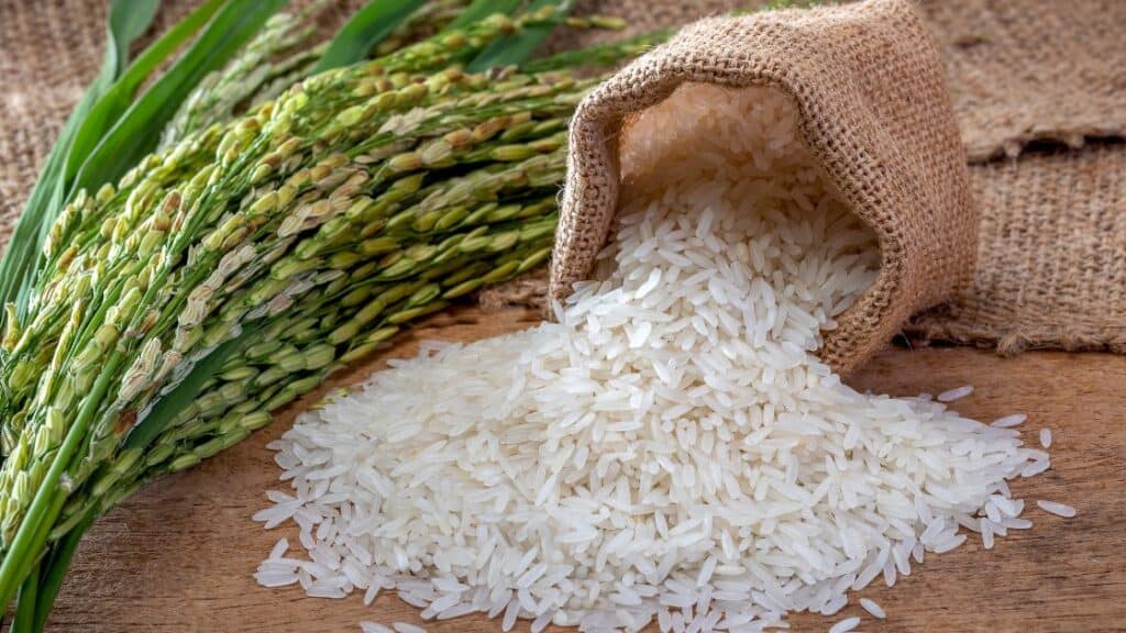 Is Jasmine Rice Polished?