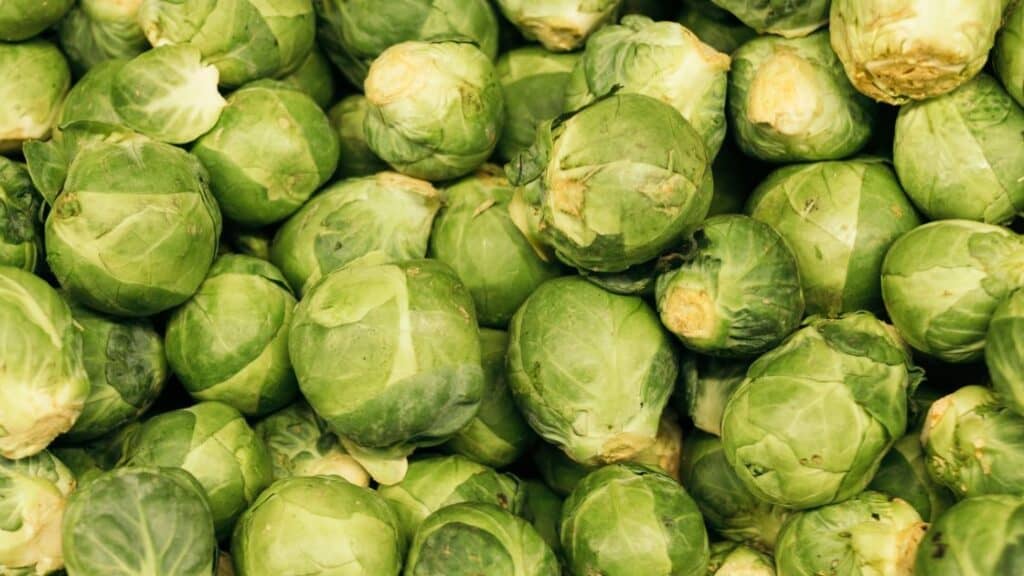 What Are The Brown Spots On Brussel Sprouts?