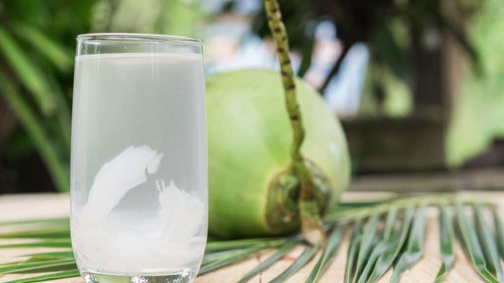 Which Coconut Is Better Green Or Brown?