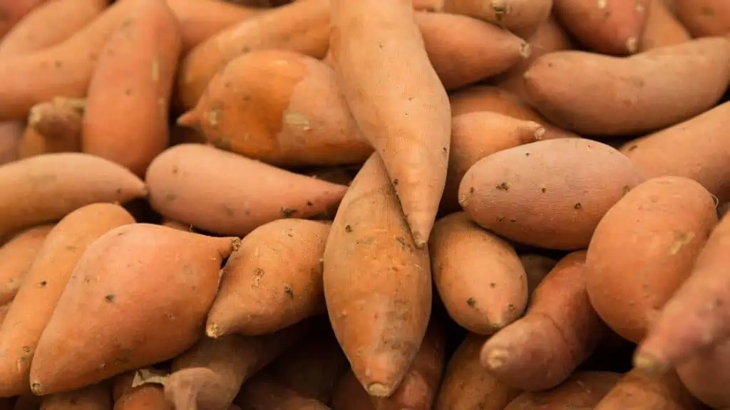 Why Are There Holes In My Potatoes?