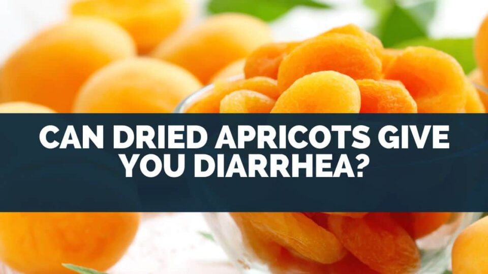 Can Dried Apricots Give You Diarrhea? (ONLY When..)
