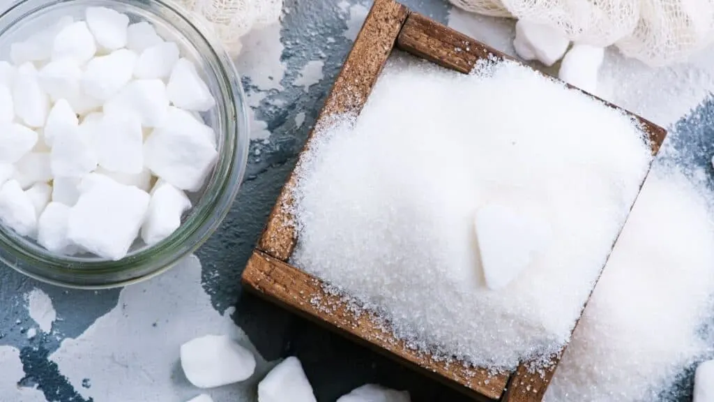 Can You Have Sugar Free Sweetener During Intermittent Fasting?