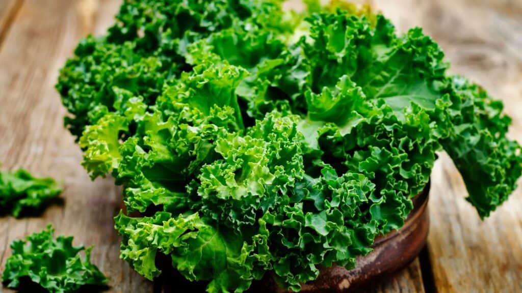 What Should I Eat After A 16 Hour Fast?