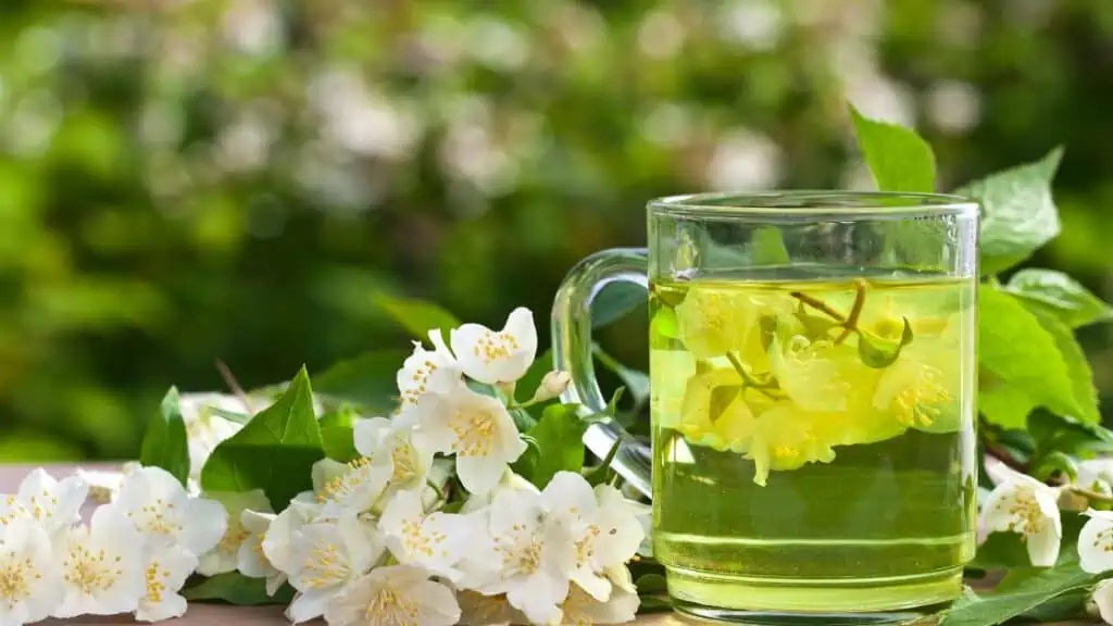 What Tea Can I Drink While Water Fasting?