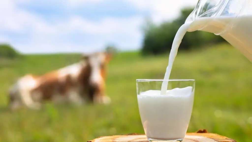 Is Cow Milk Keto Friendly?
