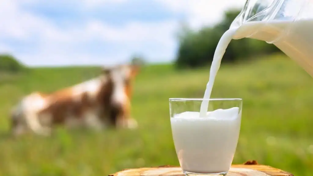 Is Cow Milk Keto Friendly?