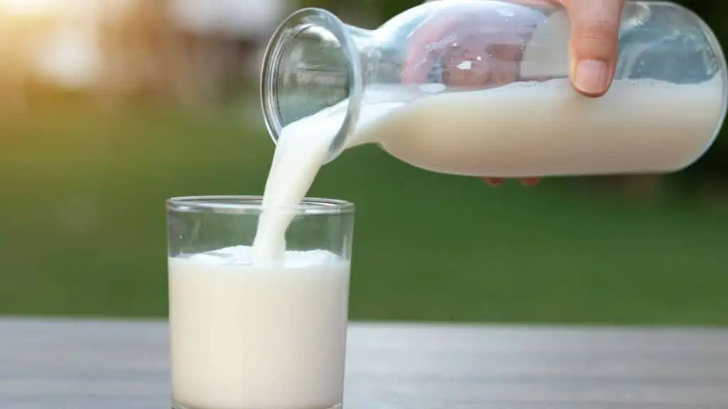 Can I Drink Dairy Milk On Keto?