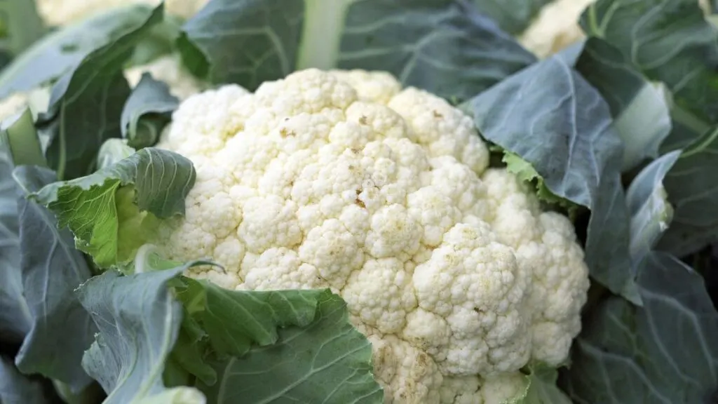 Carbohydrates In Cauliflower