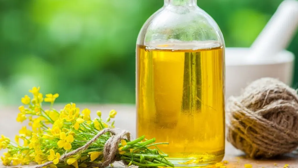 Does Canola Oil Spike Blood Sugar?
