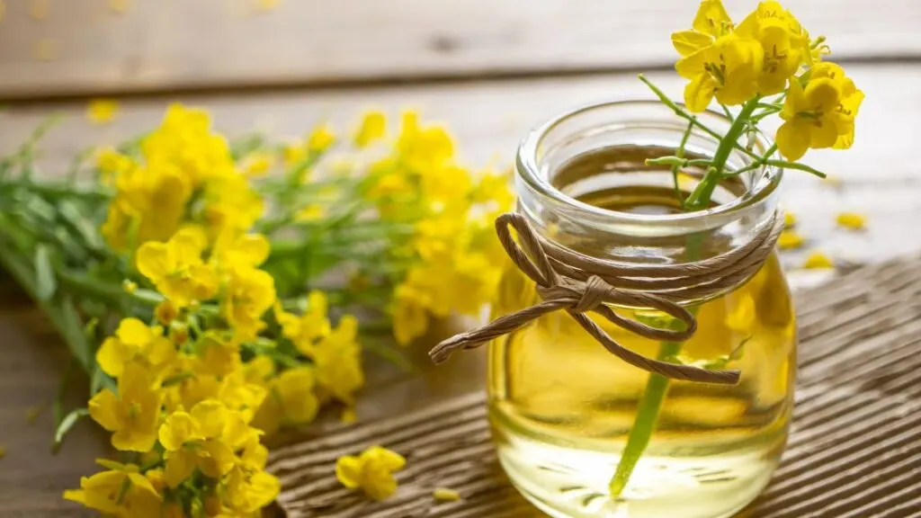 Is Canola Oil High In Carbs?