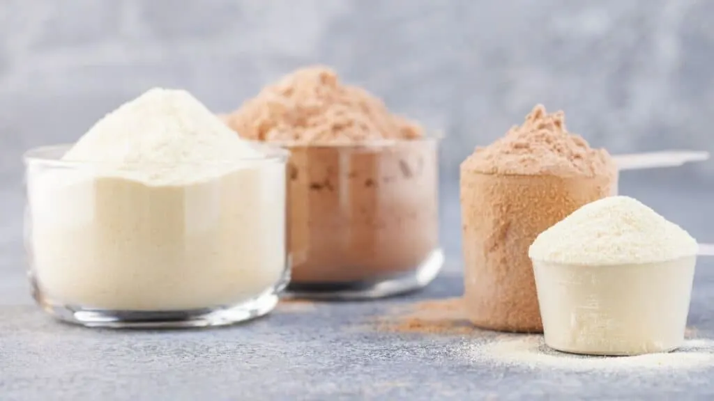 Types Of Protein Shakes