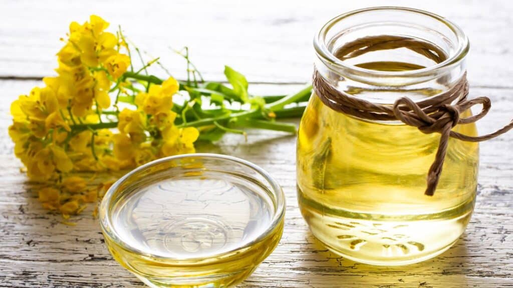 What Is Unhealthy About Canola Oil?