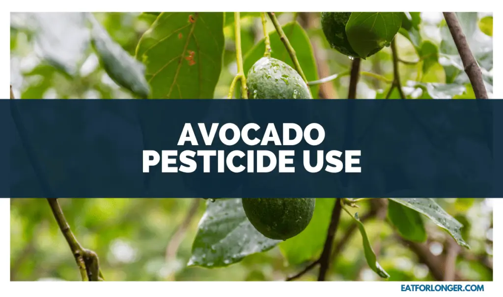 Avocado Pesticide Use