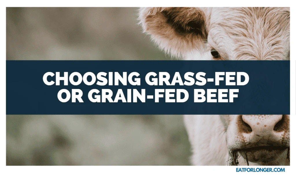 Choosing Grass-fed or Grain-fed Beef