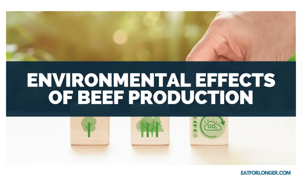 Environmental Effects of Beef Production