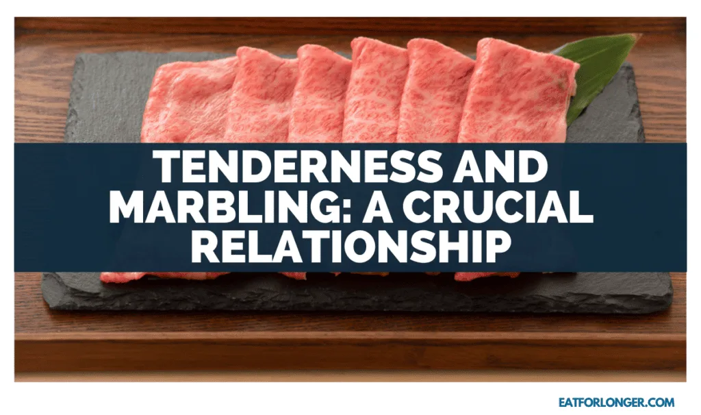 Tenderness and Marbling_ A Crucial Relationship