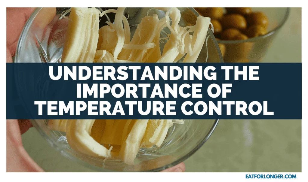 Understanding the Importance of Temperature Control