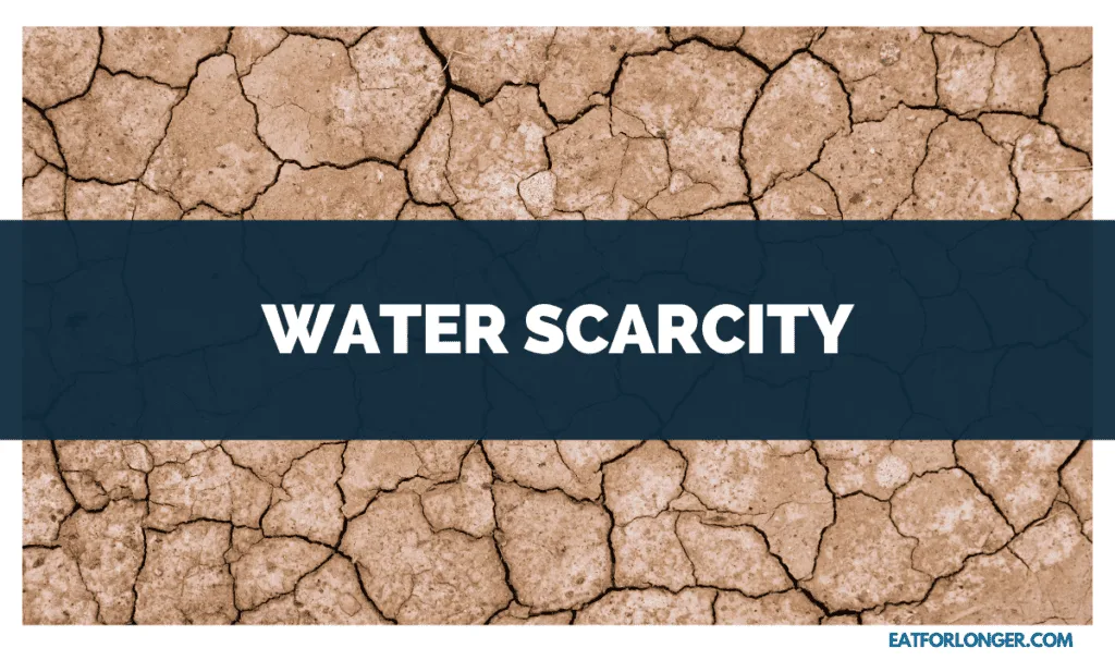 Water Scarcity