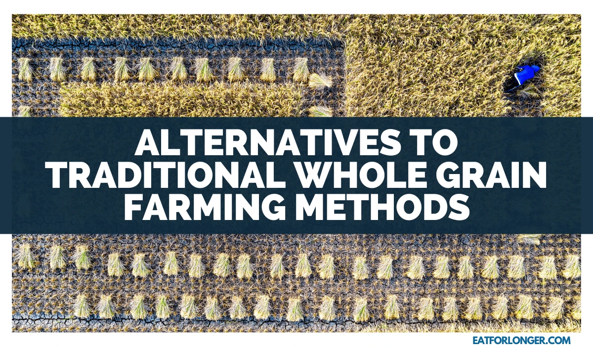 Alternatives to Traditional Whole Grain Farming Methods