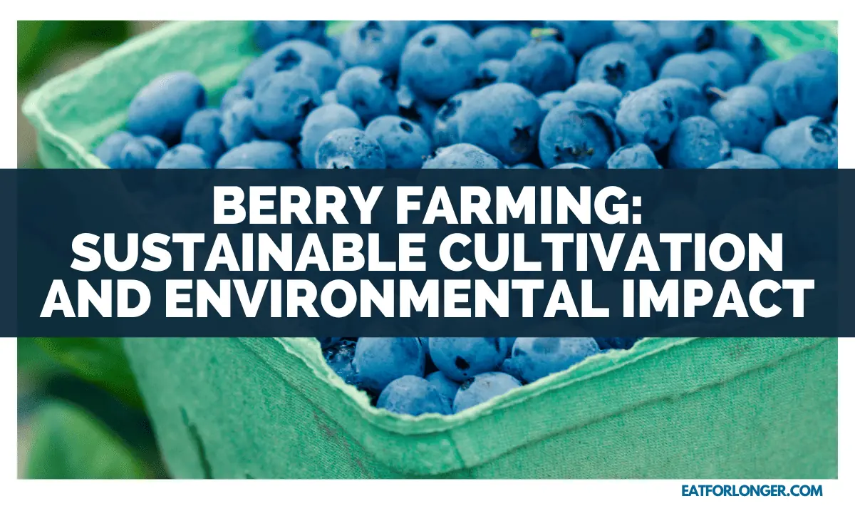 Berry Farming_ Sustainable Cultivation And Environmental Impact