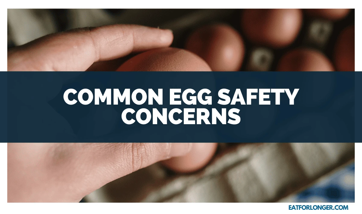Common Egg Safety Concerns