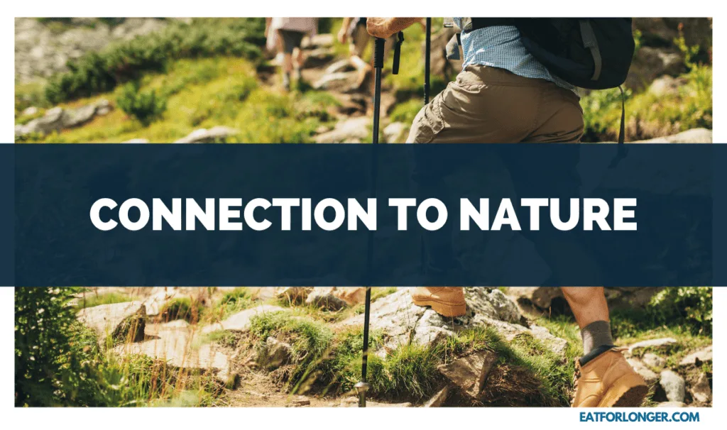 Connection to Nature