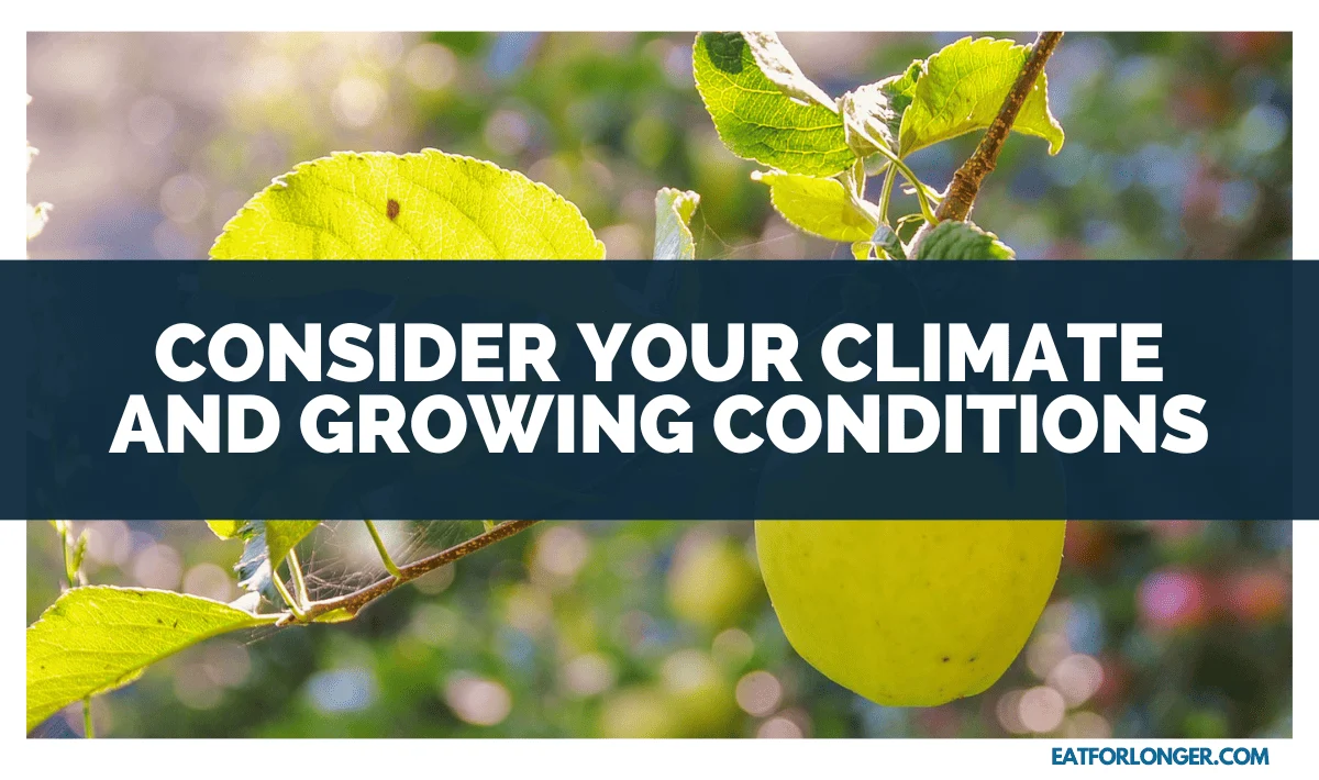 Consider Your Climate and Growing Conditions