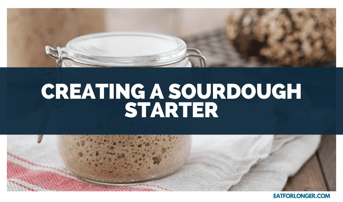 Creating a Sourdough Starter