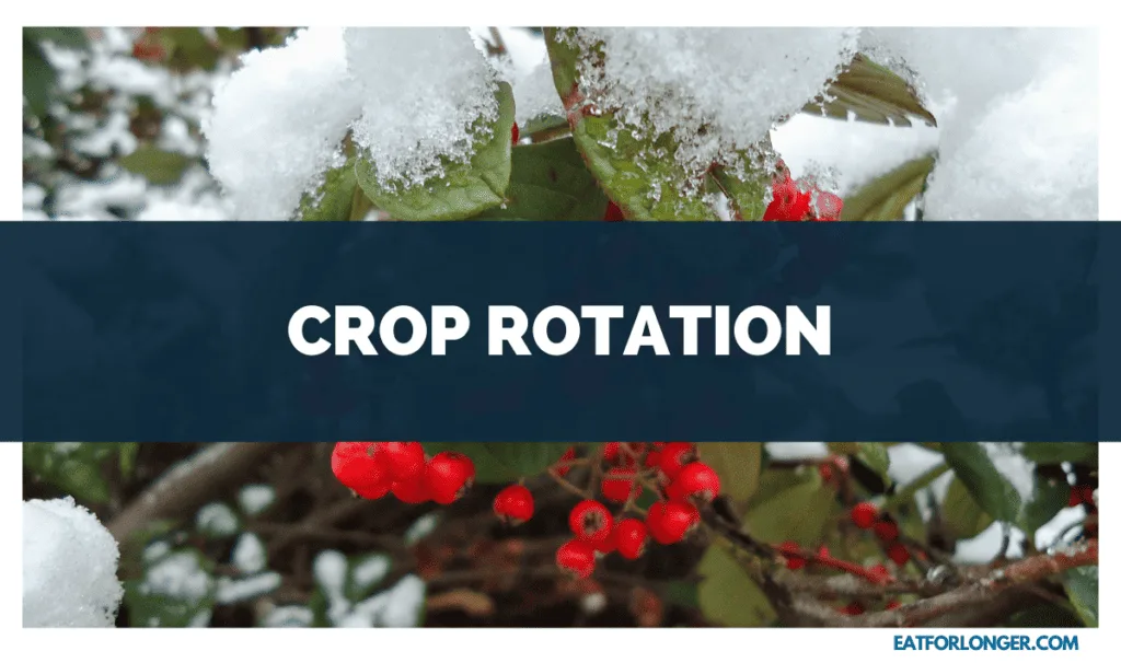 Crop Rotation