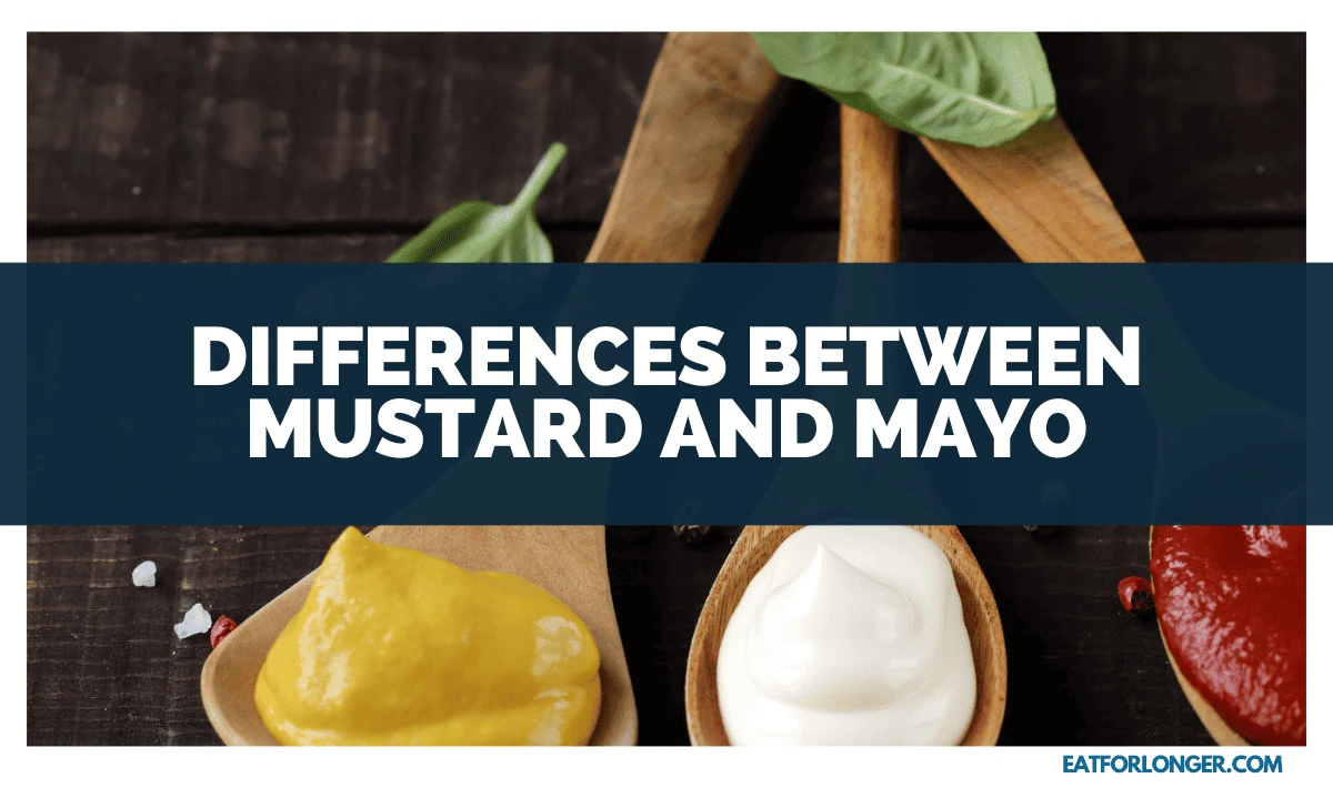 Differences between Mustard and Mayo