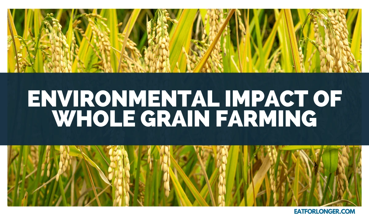 Environmental Impact of Whole Grain Farming