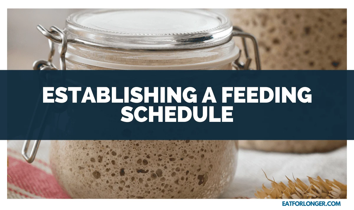 Establishing a Feeding Schedule