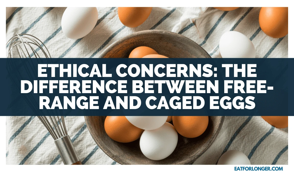 Ethical Concerns_ The Difference Between Free-Range And Caged Eggs