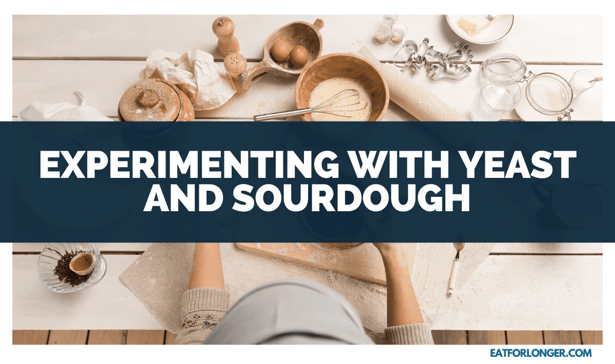 Experimenting with Yeast and Sourdough