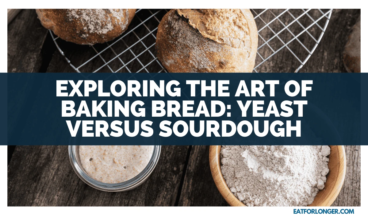 Exploring The Art Of Baking Bread_ Yeast Versus Sourdough