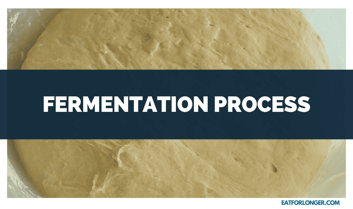 Fermentation Process