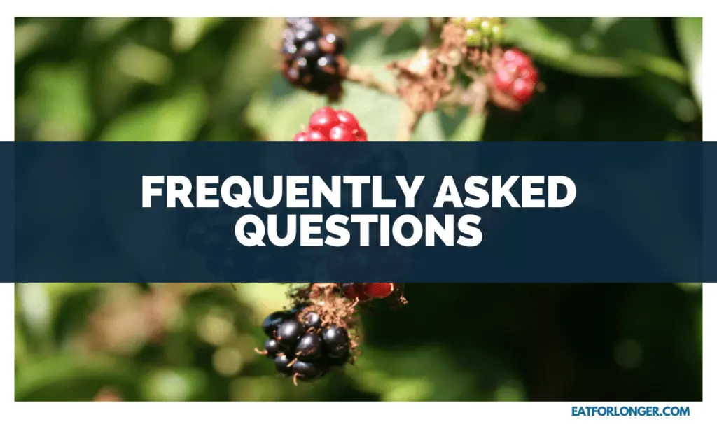 Frequently Asked Questions