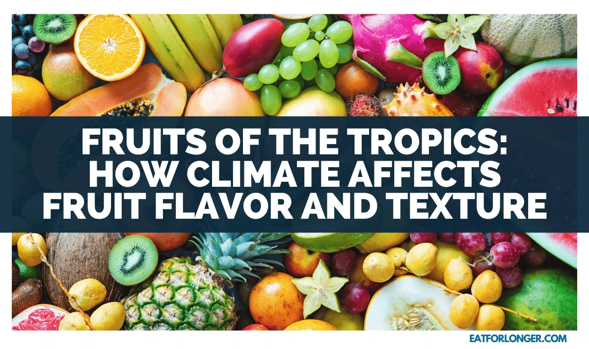 Fruits Of The Tropics_ How Climate Affects Fruit Flavor And Texture