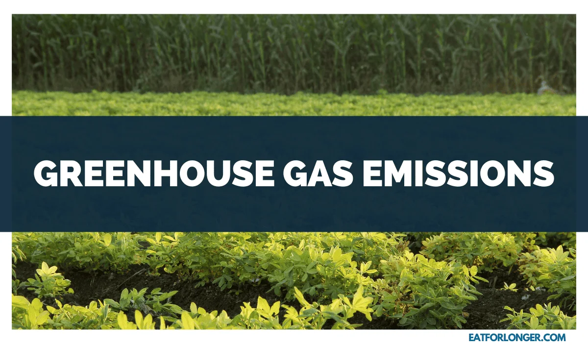 Greenhouse Gas Emissions