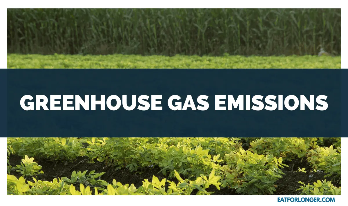 Greenhouse Gas Emissions