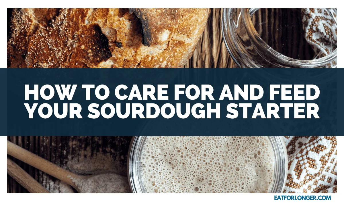 How To Care For And Feed Your Sourdough Starter