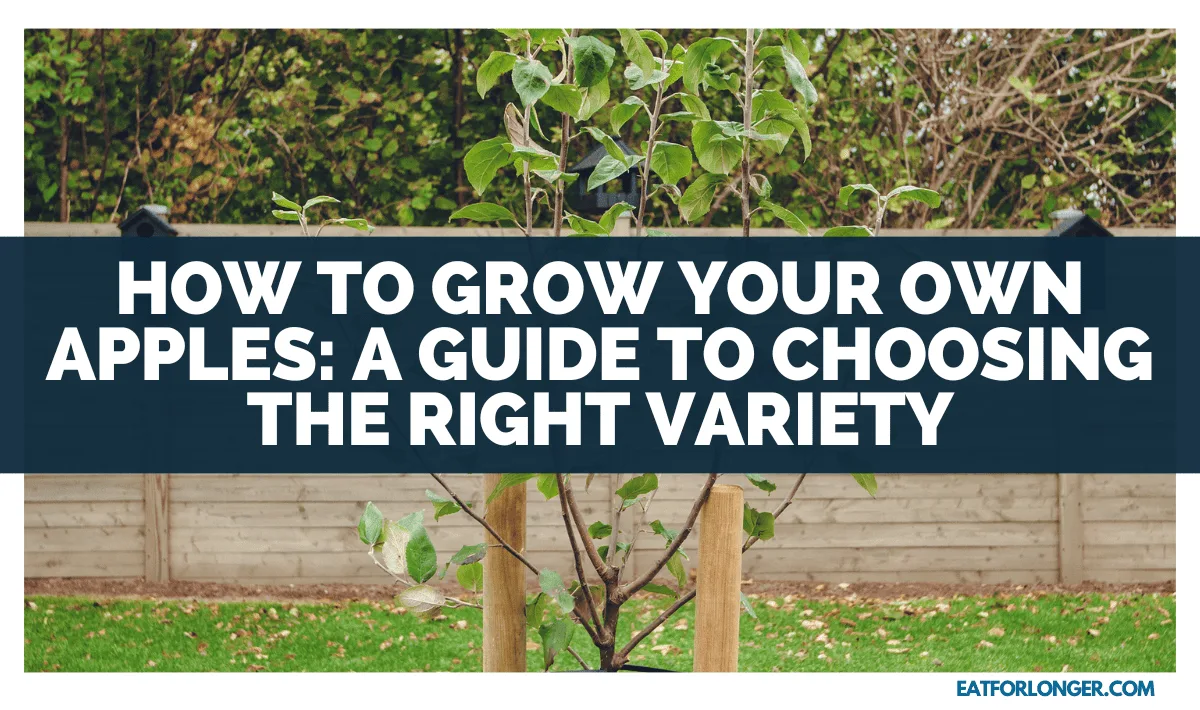 How To Grow Your Own Apples_ A Guide To Choosing The Right Variety