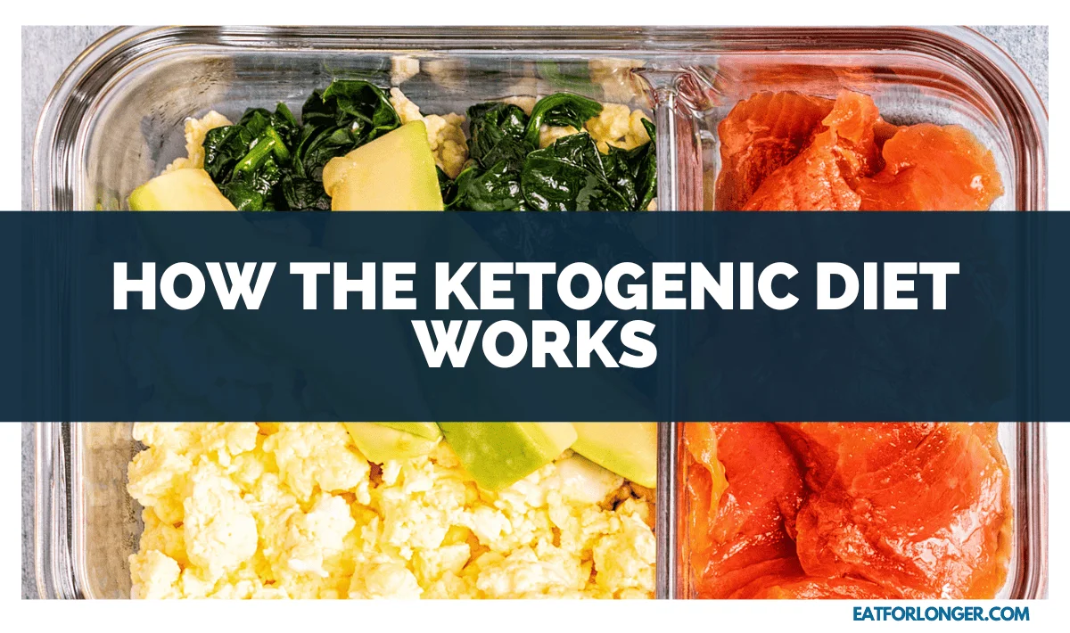 How the Ketogenic Diet Works
