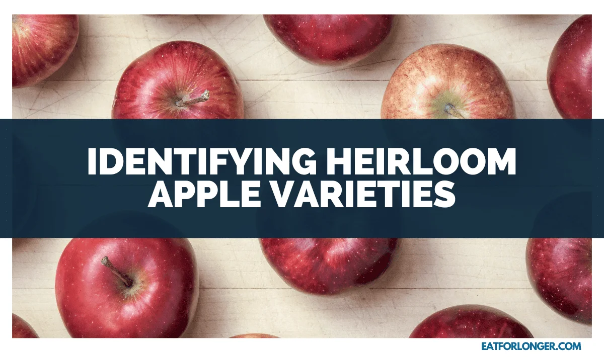 Identifying Heirloom Apple Varieties