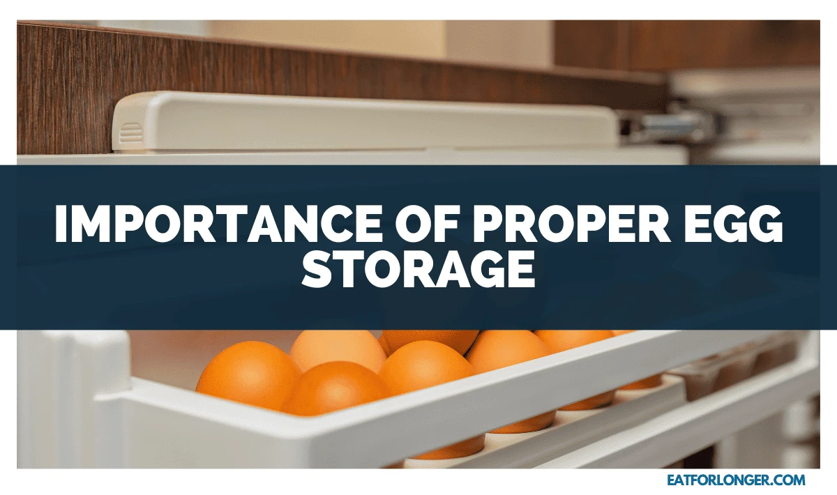 Importance of Proper Egg Storage