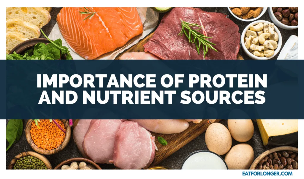Importance of Protein and Nutrient Sources